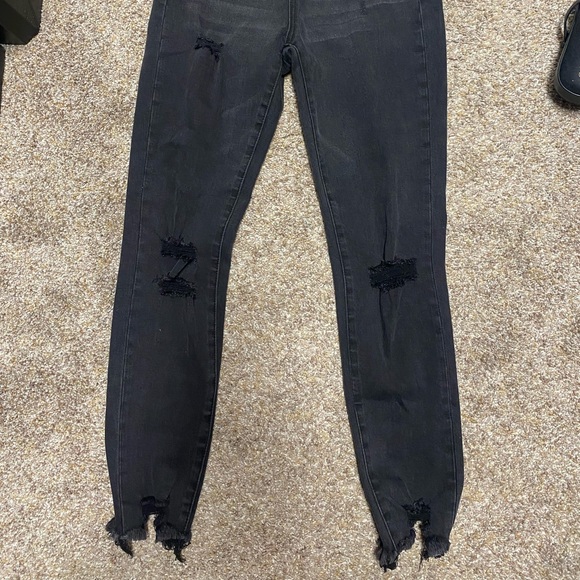 Vervet by Flying Monkey - Picture 3 of 4